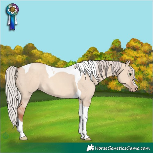 Horse Color:Silver Sable Champagne Dun Tobiano