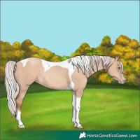 Horse Color:Silver Sable Champagne Dun Tobiano 