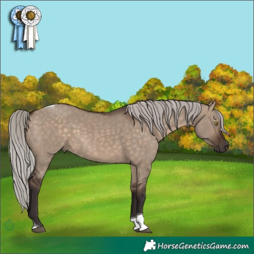 Horse Color:Silver Brown Dun Tobiano 