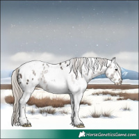 Horse Color:White Spotted Silver Black Tobiano Appaloosa 