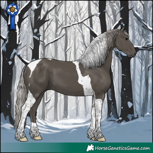 Horse Color:Silver Black Tobiano 