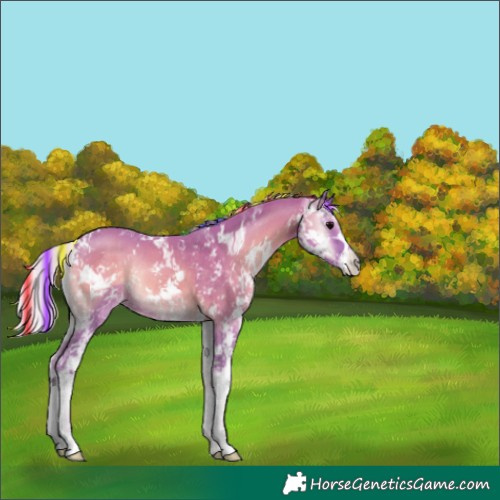 Horse Color:Painted Watercolor Silver Blue Onyx Sabino Rabicano