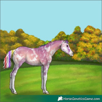 Horse Color:Painted Watercolor Silver Blue Onyx Sabino Rabicano 