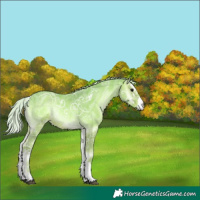 Horse Color:Watercolor Silver Blue Onyx Ice Sabino