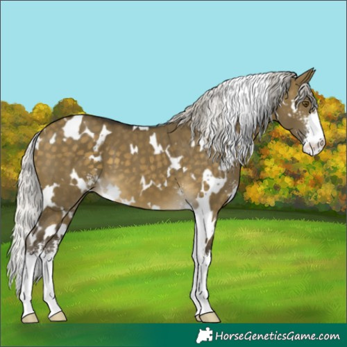 Horse Color:White Spotted Silver Buckskin Dun Mushroom Sabino