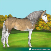 Horse Color:Silver Buckskin Dun Mushroom Sabino Splash 