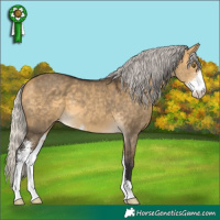 Horse Color:Silver Buckskin Dun Mushroom Sabino 