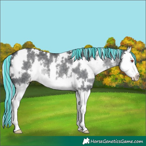 Horse Color:Painted White Spotted Silver Black Chinchilla Splash 