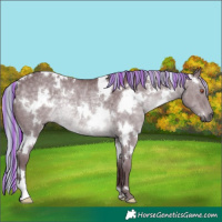 Horse Color:Painted White Spotted Chocolate Silver Black Chinchilla Rabicano 
