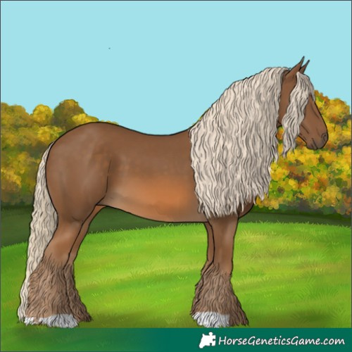 Horse Color:Chocolate Palomino 
