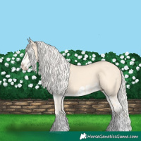 Horse Color:Cremello Splash  and Cremello Splash 
