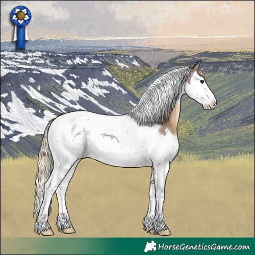 Horse Color:Chocolate Palomino Roan Splash Tobiano 