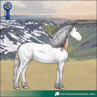Horse Color:Chocolate Palomino Roan Splash Tobiano
