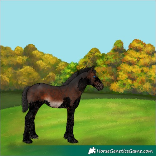 Horse Color:Void Brown Splash Tobiano 