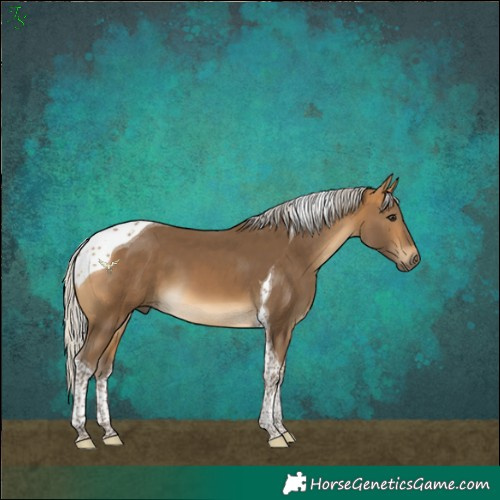 Horse Color:Silver Buckskin Tobiano 