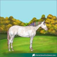 Horse Color:Painted White Spotted Silver Sable Champagne Ice Dun Splash 