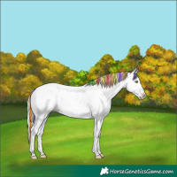 Horse Color:Painted Silver Sable Champagne Ice Roan Dun Splash Appaloosa