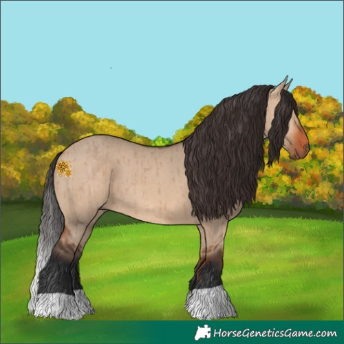 Horse Color:Bay Dun Brindle 