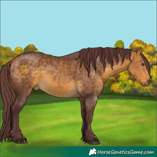 Horse Color:Chocolate Buckskin 