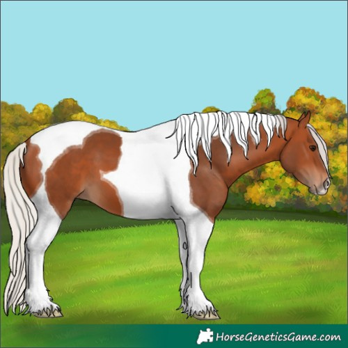 Horse Color:Silver Bay Tobiano 