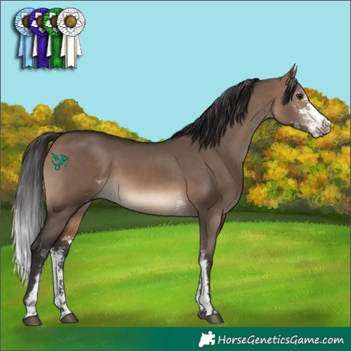 Horse Color:Brown Dun Sabino