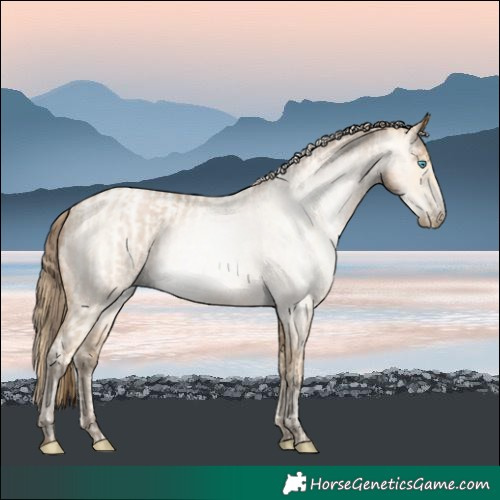 Horse Color:Buckskin Roan Pearl and Gray Buckskin Roan Pearl