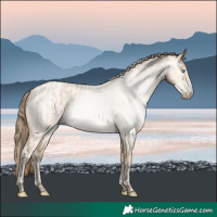 Horse Color:Buckskin Roan Pearl and Gray Buckskin Roan Pearl