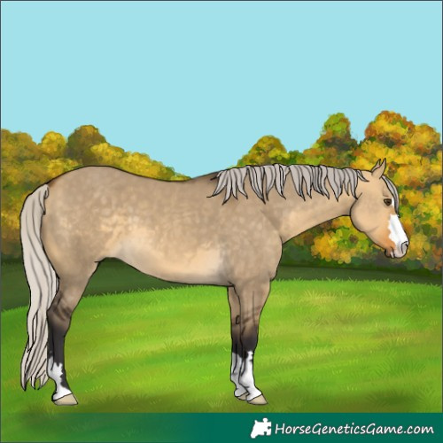 Horse Color:Silver Buckskin Dun 