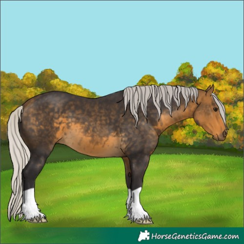 Horse Color:Silver Buckskin 