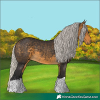 Horse Color:Silver Buckskin 