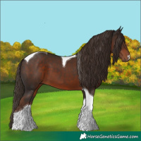 Horse Color:Liver Chestnut Tobiano 
