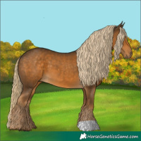 Horse Color:Chocolate Palomino 