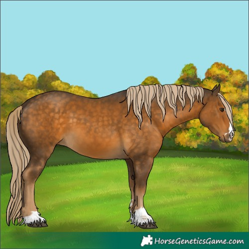 Horse Color:Chocolate Palomino 