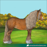 Horse Color:Chocolate Palomino 