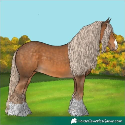 Horse Color:Chocolate Palomino 