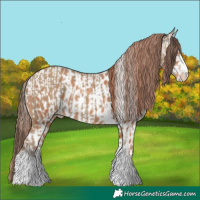 Horse Color:Classic Cream Champagne  and Gold Champagne Near Leopard 