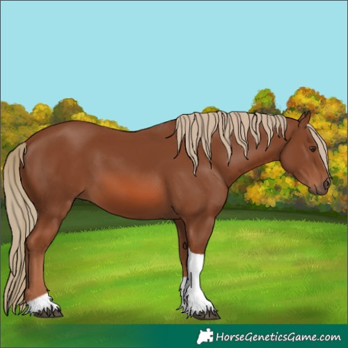 Horse Color:Chestnut Tobiano 