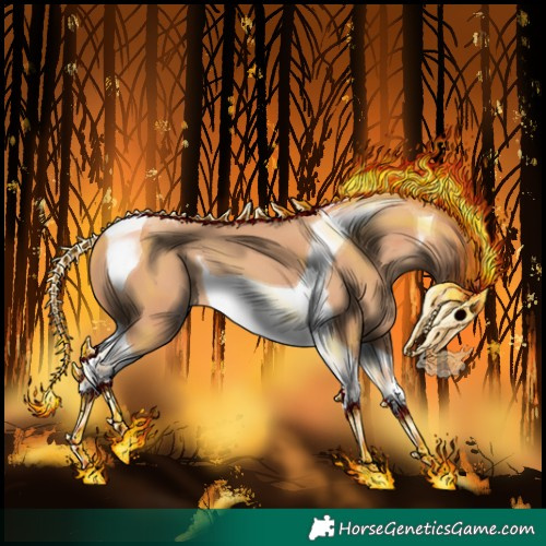 Horse Color:Gold Champagne Tobiano 