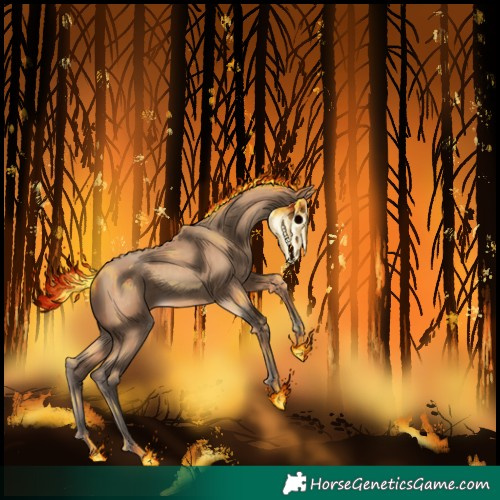 Horse Color:Amber Champagne 