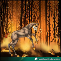 Horse Color:Amber Champagne 