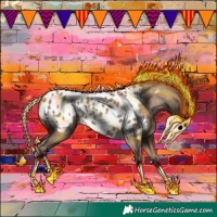 Horse Color:Classic Champagne Appaloosa 