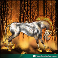 Horse Color:Classic Champagne Appaloosa