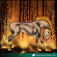 Horse Color:Amber Champagne