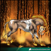 Horse Color:Sable Champagne Tobiano 