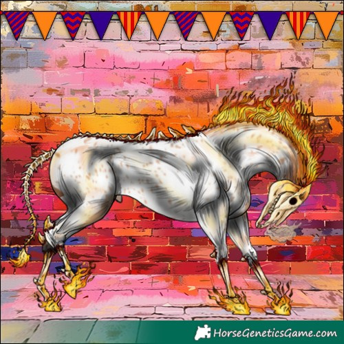 Horse Color:Bay Dun Tobiano Appaloosa 