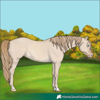 Horse Color:Perlino Dun 