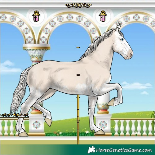 Horse Color:Cremello Splash  and Cremello Splash 