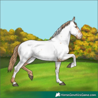 Horse Color:Chestnut Tobiano Near Fewspot 