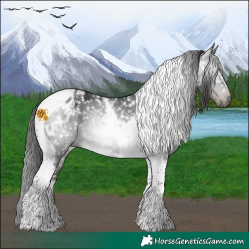 Horse Color:Gray Platinum Liver Chestnut Tobiano Blanket 