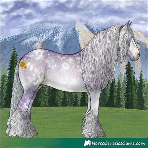 Horse Color:Gray Platinum Watercolor White Spotted Chocolate Silver Brown Onyx Sabino Appaloosa 